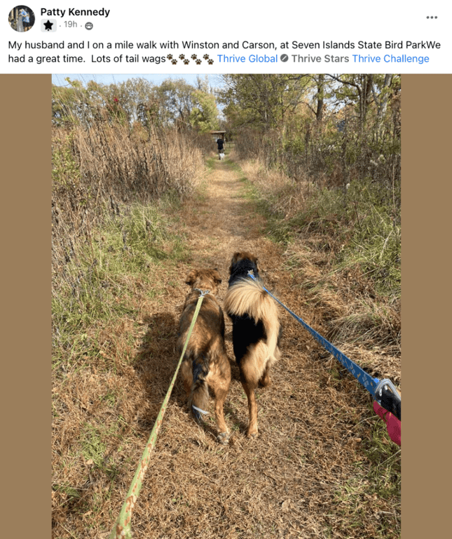 Screen Shot 2022-10-27 at 11.31.05 PM.png